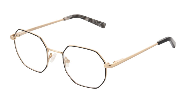 Eyeglass frame 10309249