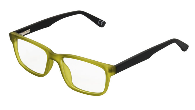 Eyeglass frame 10309689