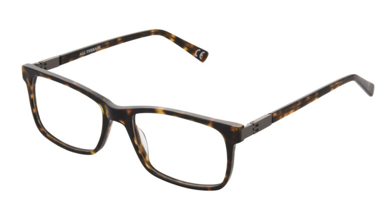 Eyeglass frame 10309194