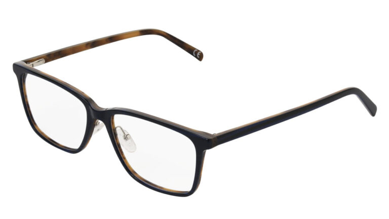 Eyeglass frame 10309720