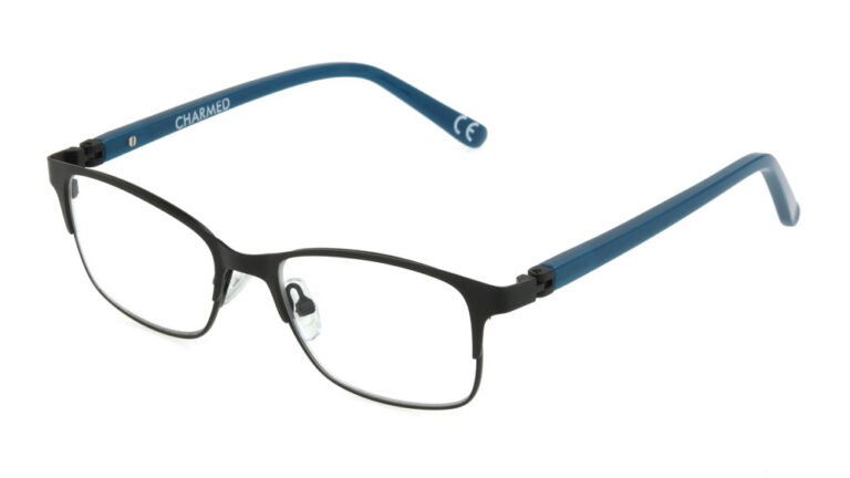 Eyeglass frame 10308765