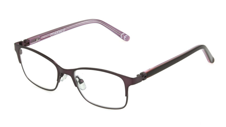 Eyeglass frame 10308764