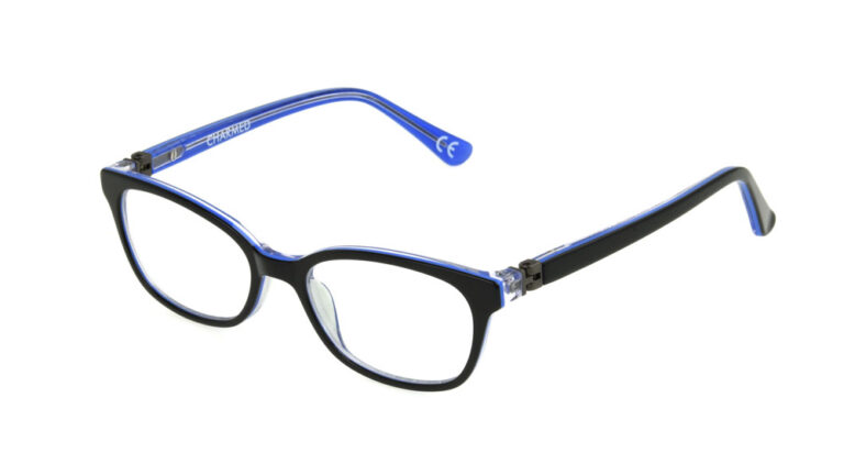 Eyeglass frame 10308766