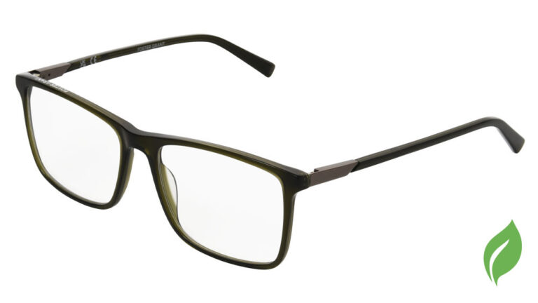 Eyeglass frame 10309709