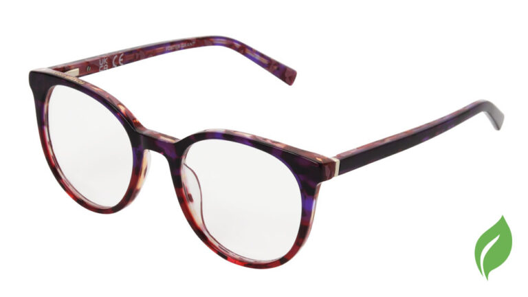 Eyeglass frame 10309696