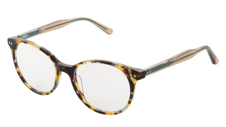 Eyeglass frame 1313448