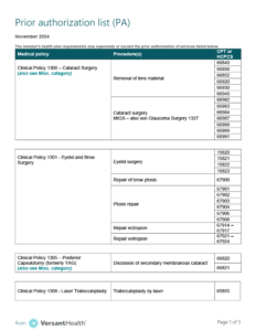 Low resolution preview of the prior auth list