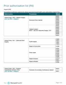 Low resolution preview of the prior auth list